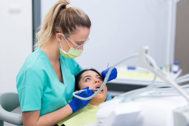 Best Emergency X-Rays and Diagnostics in Chandler, TX